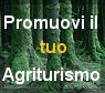 Promozione di un sito web di Agriturismo